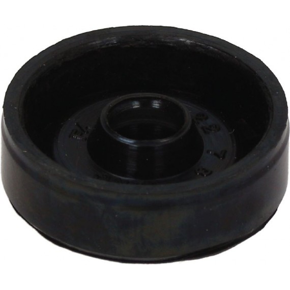 ANELLO TENUTA 6X22X7