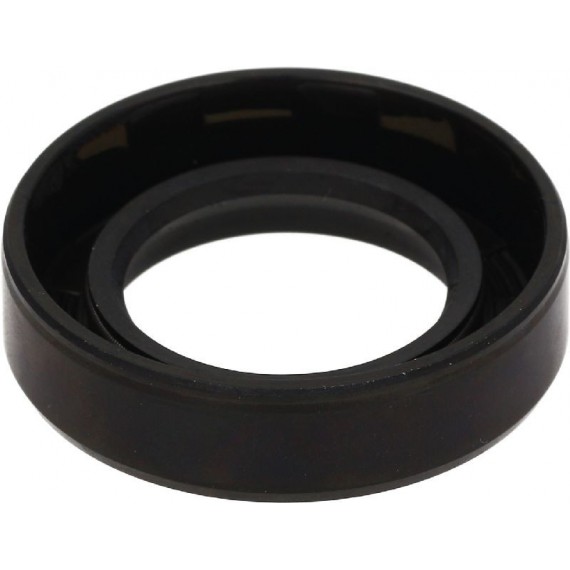 ANELLO TENUTA 24X40X10