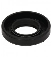 ANELLO TENUTA 30X55X10/14