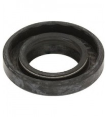 ANELLO TENUTA 30X53.5X9/14.5 GP