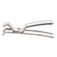 Pinza per teglie