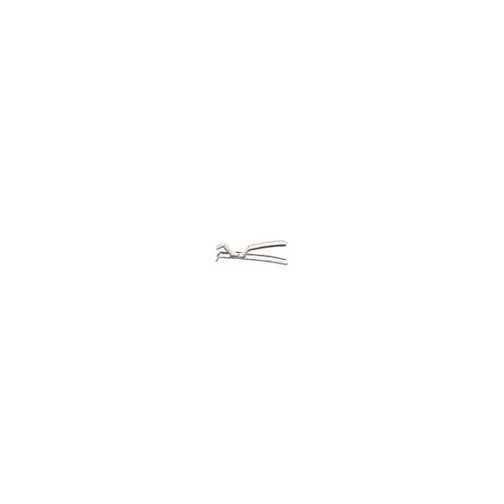 Pinza per teglie