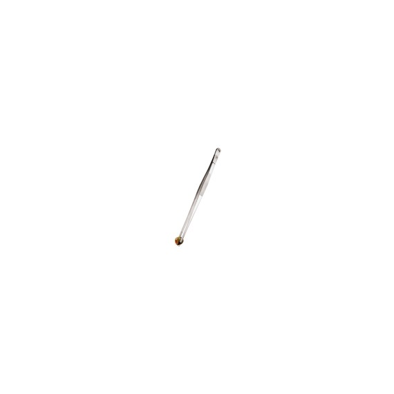 Pinza