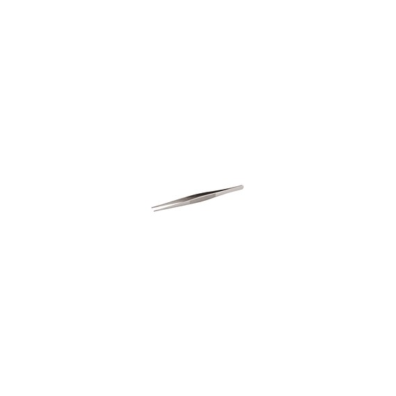 Pinza