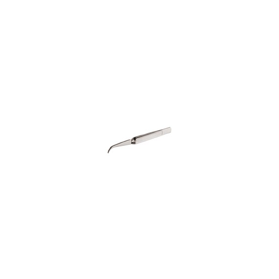 Pinza