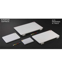 Tagliere professionale cm 60x40x2 con bottoni HACCP + blocchi