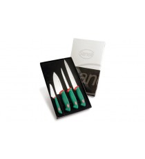 SET PROFESSIONALE 2 PZ PREMANA