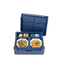 Box Monoking Isotermico