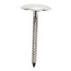 Conf. 10 Pz Chiodi Per Fiori Cm 2 Testa Concava In Acciaio inox L. 20 cm