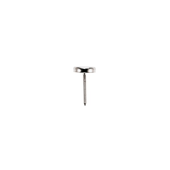 Conf. 10 Pz Chiodi Per Fiori Cm 3,3 Testa Concava In Acciaio inox L. 33 cm