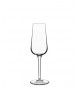 Calice EDEN flute conf. 6 pz.