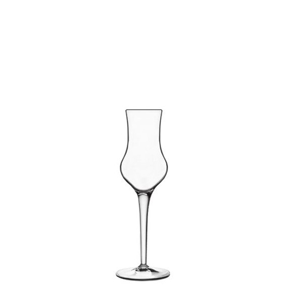 Calice MICHELANGELO grappa conf. 6 pz.