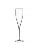 Calice ACCADEMIA champagne conf. 6 pz.