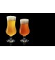 Calice ALE 50 conf. 24 pz