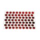 Placche Per Pastafrolla A Stella Cm 5 In Plastica