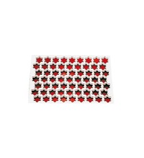Placche Per Pastafrolla A Stella Cm 5 In Plastica