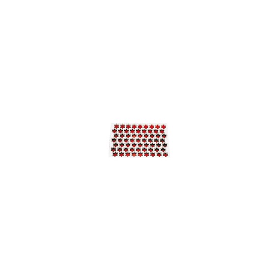 Placche Per Pastafrolla A Stella Cm 5 In Plastica
