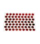 Placche Per Pastafrolla A Stella Cm 5 In Plastica