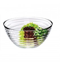 Coppa MR CHEF 8 conf. 6 pz