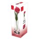 Vaso CAPITOL conf. 6 pz