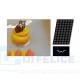 Stampo Flessibile Cm 60x40 Mini Savarins In Silicone