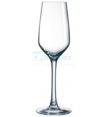 Calice MILLESIME flute 19 conf. 24 pz