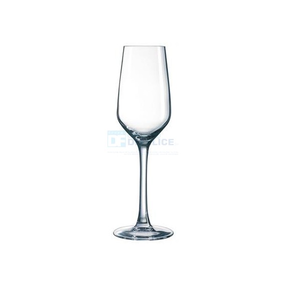Calice MILLESIME flute 19 conf. 24 pz