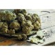 Taglia Tartufi In Acciaio Inox