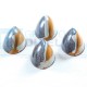 Stampo per praline BONBONS in policarbonato
