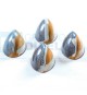 Stampo per praline BONBONS in policarbonato